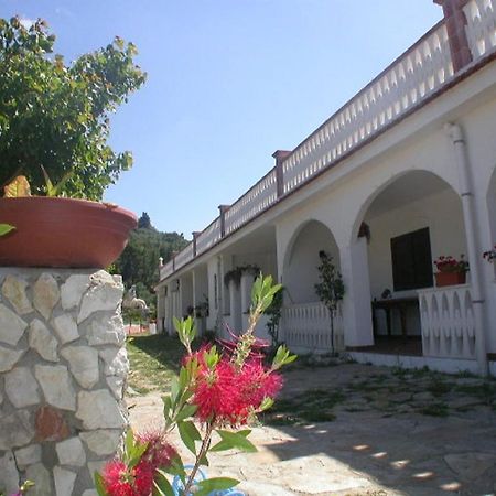 B&B La Formichina Peschici Ngoại thất bức ảnh